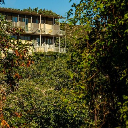 אנדריטסאינה Theoxenia Hotel מראה חיצוני תמונה