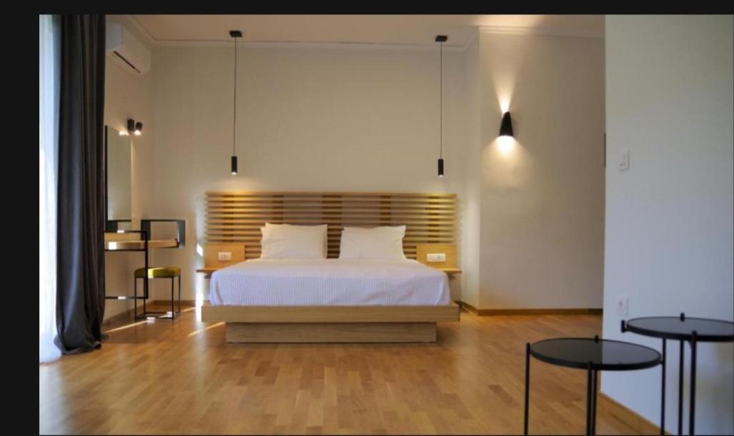 אנדריטסאינה Theoxenia Hotel מראה חיצוני תמונה